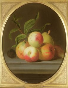 Apples on a Shelf by Jakob Bogdani or Bogdany